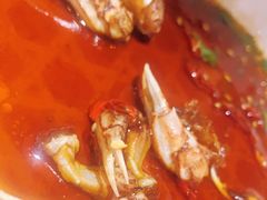 -小俩口烧烤东北菜(双井店)