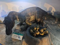 -国家自然博物馆