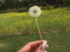 -海底捞(明洞店)