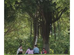 -五通灯塔公园