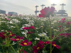 -海心沙亚运公园