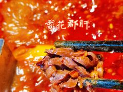 雪花郡肝-红鼎坊·老成都火锅(新南门店)