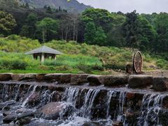 -广州市石门国家森林公园