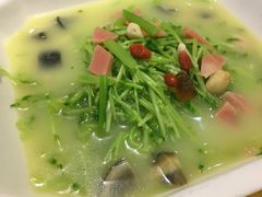 上汤豆苗-京味民福烤鸭店(建设四马路店)