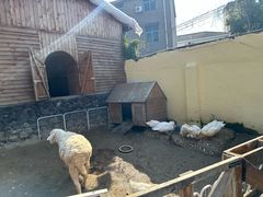 -HERRE·FARM 赫尔露营农场·团建聚会包场