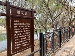 -桃花堤公园