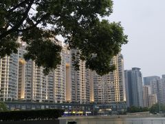 -西北湖绿化广场