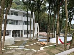 -龙坞茶村