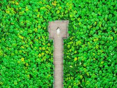 -清漾毛氏文化村