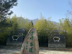 -阳台山自然风景区