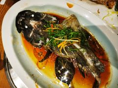 清蒸石斑鱼-琼菜王(南海店)