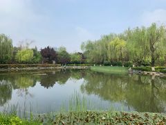 -木塔寺遗址生态公园