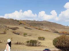 -御道口草原森林风景区