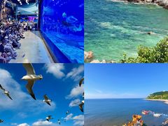 -烟台海昌鲸鲨海洋公园