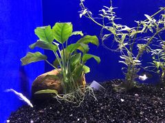 -上海海洋水族馆