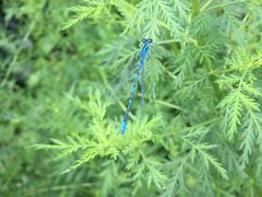 -野三坡清泉山风景区
