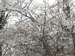 -南京市江宁方山