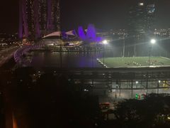 -新加坡丽思卡尔顿美年酒店