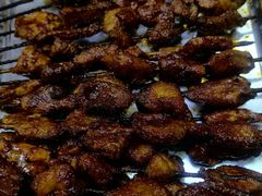 -尕胡才炕锅烤羊肉馆(八一路店)