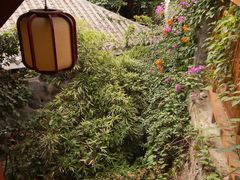 -福州市仓山小学