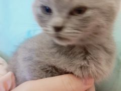 -宠颐生汉谟拉比宠物医院