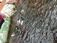 -北戴河集发农业梦想王国