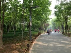 iphone_upload_pic-济南森林公园