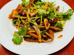 -呼吸森林·生态农庄农家乐私房菜