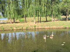 -骏途旅游