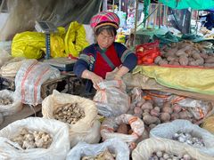 -璞真扎染博物馆