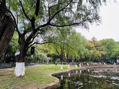 -南京古林公园