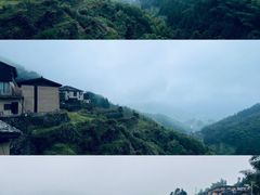 -杨家堂村