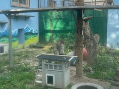 -青藏高原野生动物园