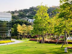 -厦门国家会计学院