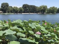 -小王府(什刹海店)