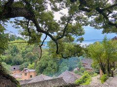 -杨家堂村