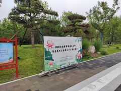 -莲花池公园