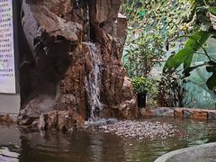 -上海大自然野生昆虫馆(东方明珠·爬宠昆虫探索中心)