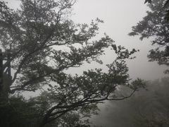 -尧山风景区