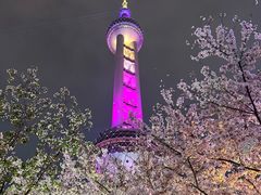 -东方明珠广播电视塔