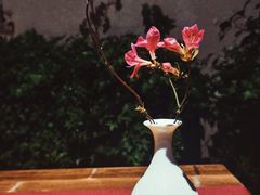 -荷风细雨·中国茶宴(碧云店)