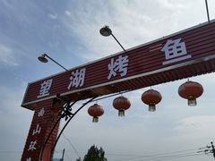 -望湖烤鱼