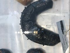 -DEMO黛慕蛋糕(中泰店)
