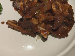 -蝶园·装修中(BFC外滩金融中心店)