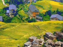 -龙脊梯田