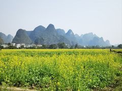 -村上春树
