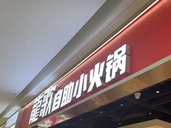 -龍歌自助小火锅(城阳万象汇店)