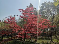 -滨湖塘西河公园