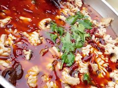 -重庆乌鱼庄·龙滋鲜(青羊大道店)