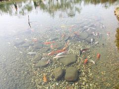 -苏州吴中太湖旅游区